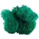 boule mousse stabilisée vert