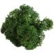 boule mousse stabilisée vert