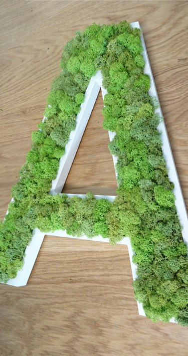 Lettre végétale "A" en lichen