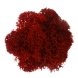 boule mousse stabilisée rouge