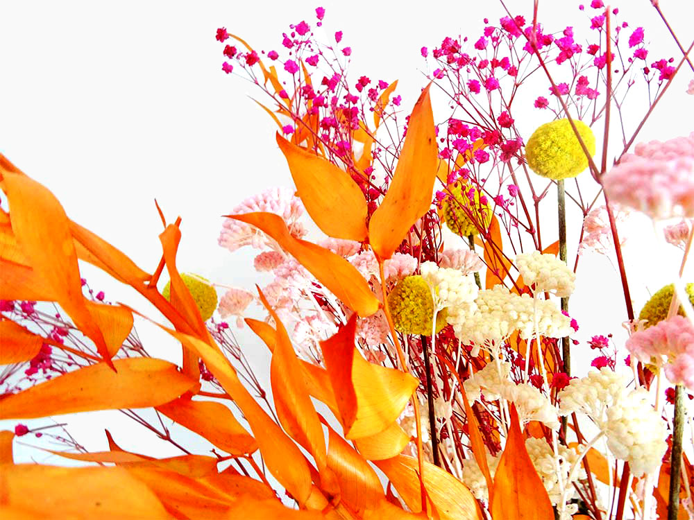 Bouquets de fleurs stabilisées