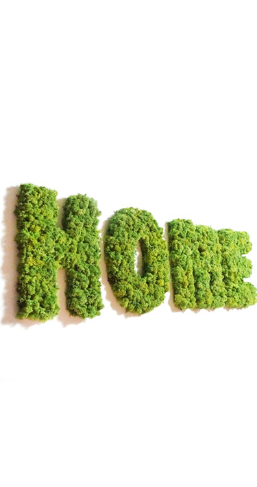 Lettres végétales "HOME" en lichen