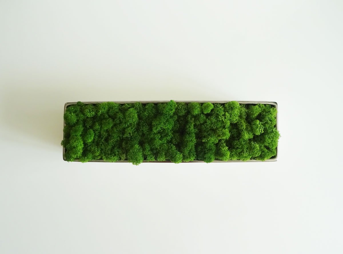 Grande jardinière lichen