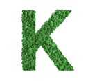 Lettre végétale stabilisée K