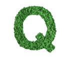 Lettre végétale stabilisée Q