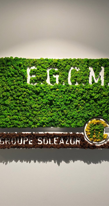 Logo végétal EGCM Soleazur