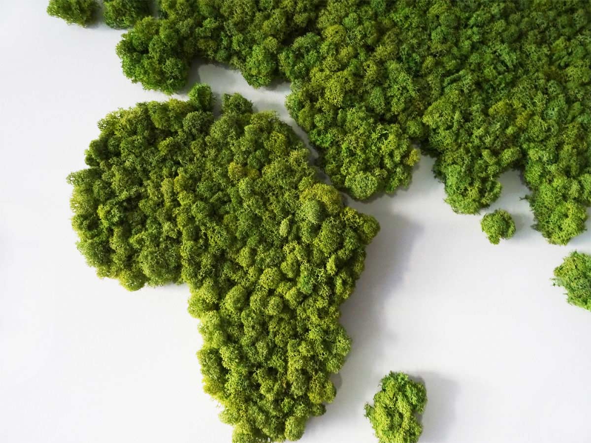 Carte du monde 3D avec cadre en mousse naturelle stabilisée et lichen  nordique - Décoration murale intérieure (112 x 65 cm, mousse verte, cadre  en