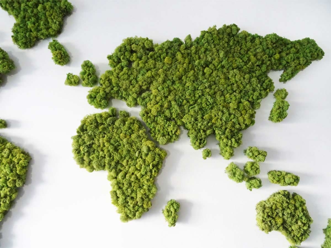 Map Monde végétale