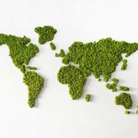 Map Monde végétale