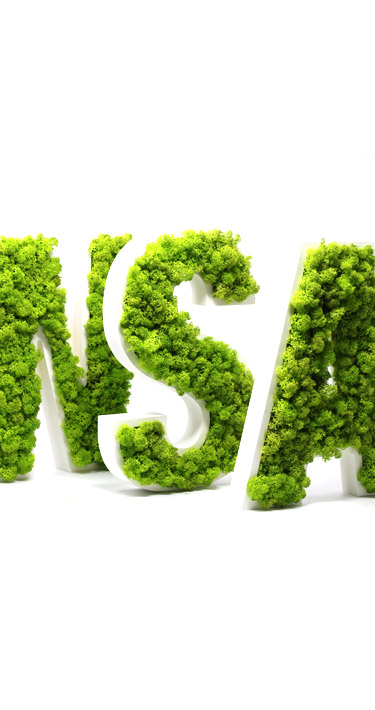 Lettres végétales "NSA" en lichen