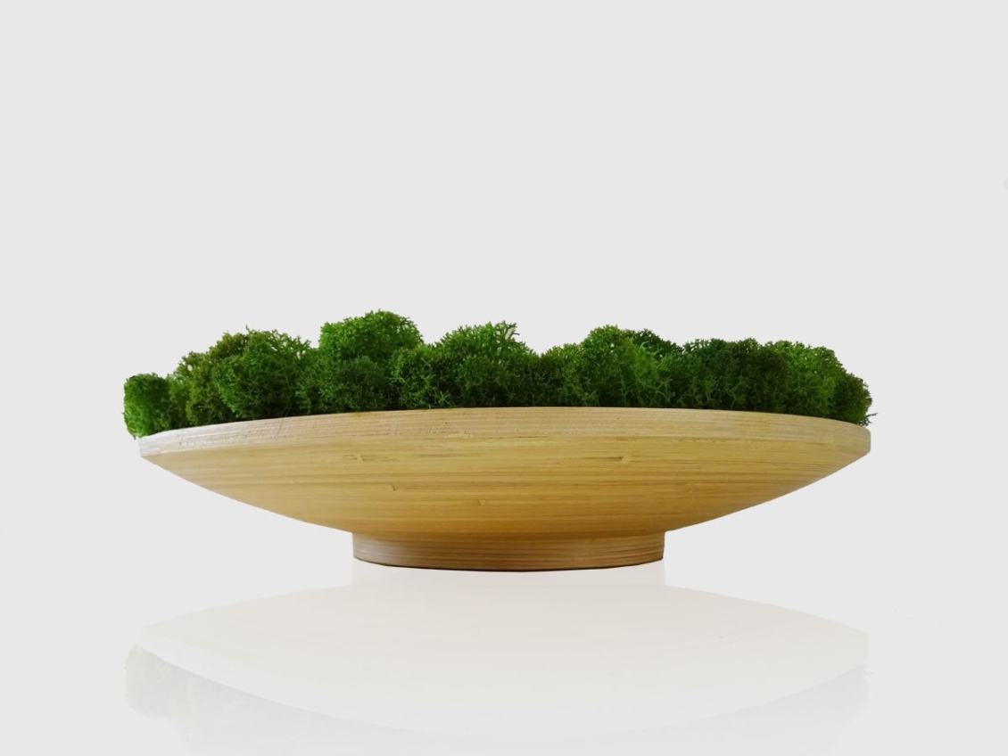 Soucoupe de table lichen