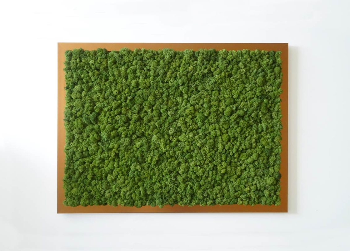 Tableau végétal 100% lichen