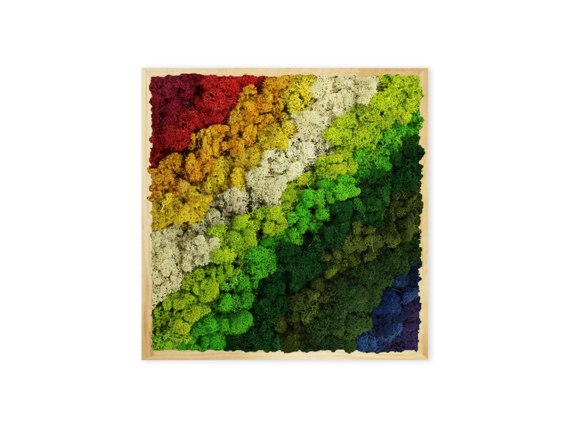 Tableau végétal Rainbow