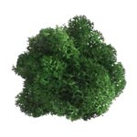 boule mousse stabilisée vert